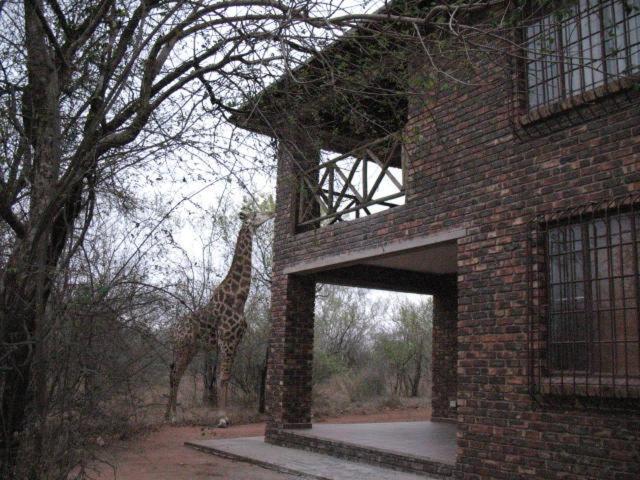Crowe'S Nest Villa Marloth Park Eksteriør billede